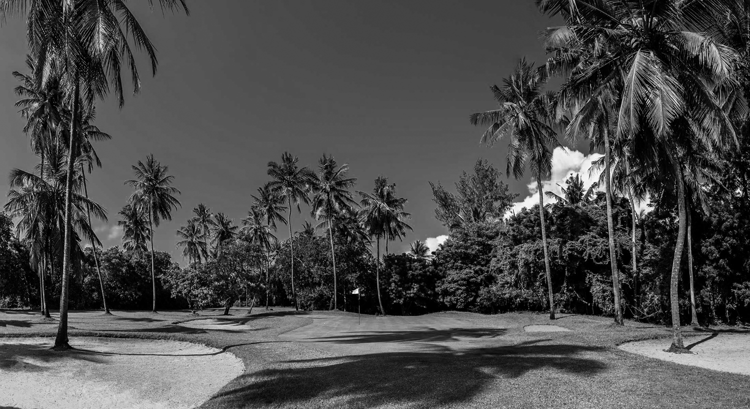 Coastal fairway framed by palms, Diani.